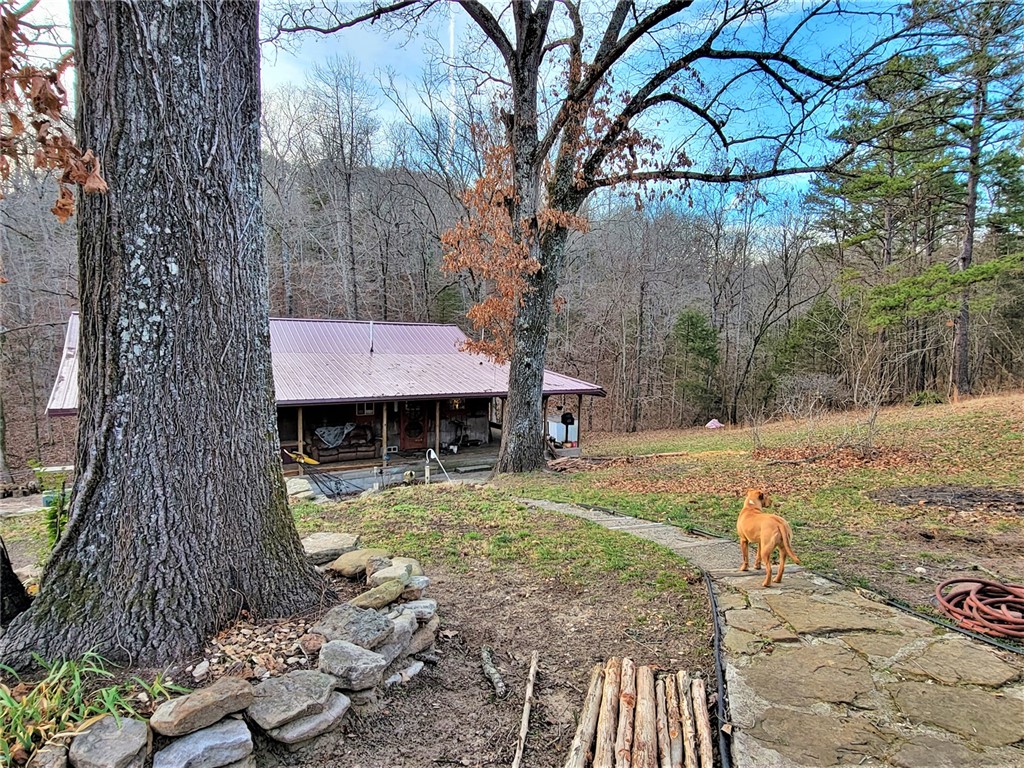 main property photo 4