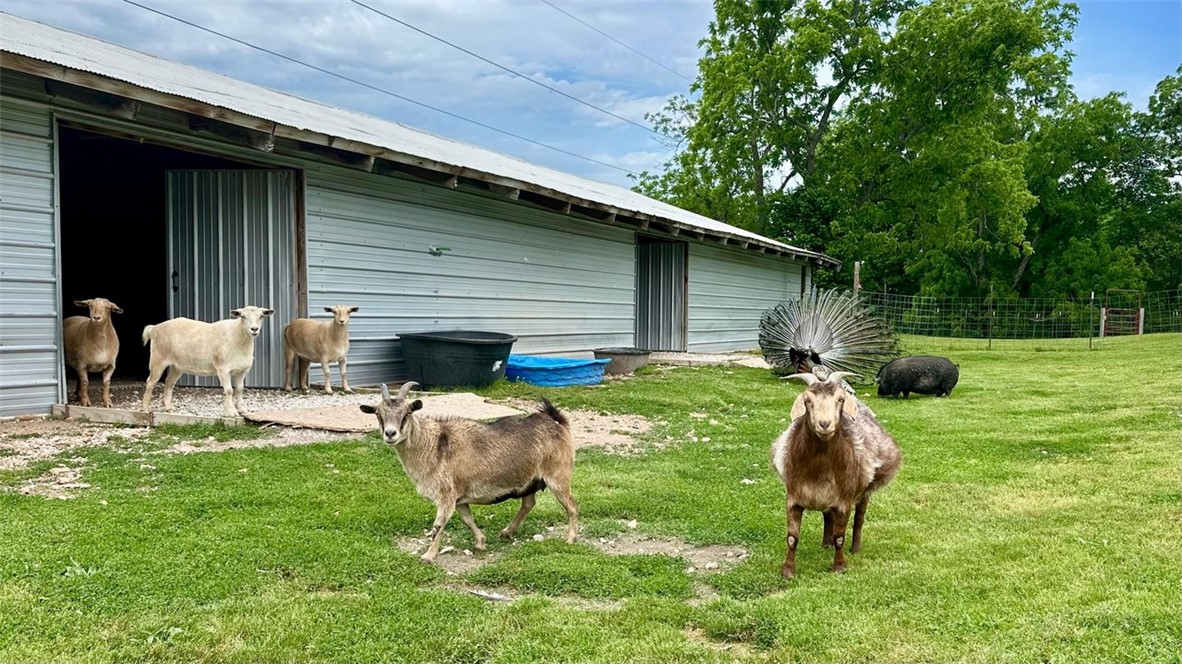 main property photo 45