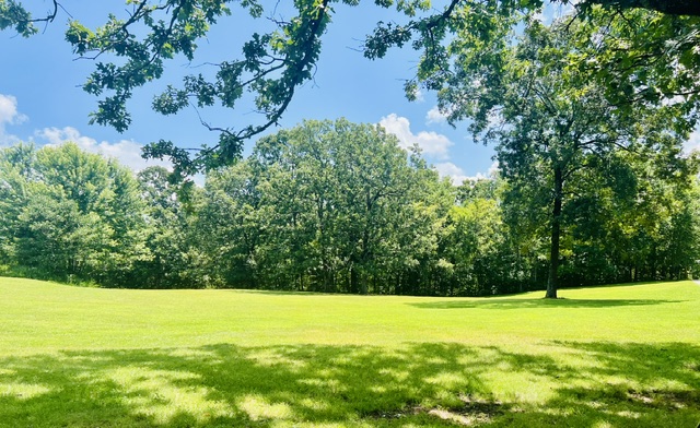 main property photo 6
