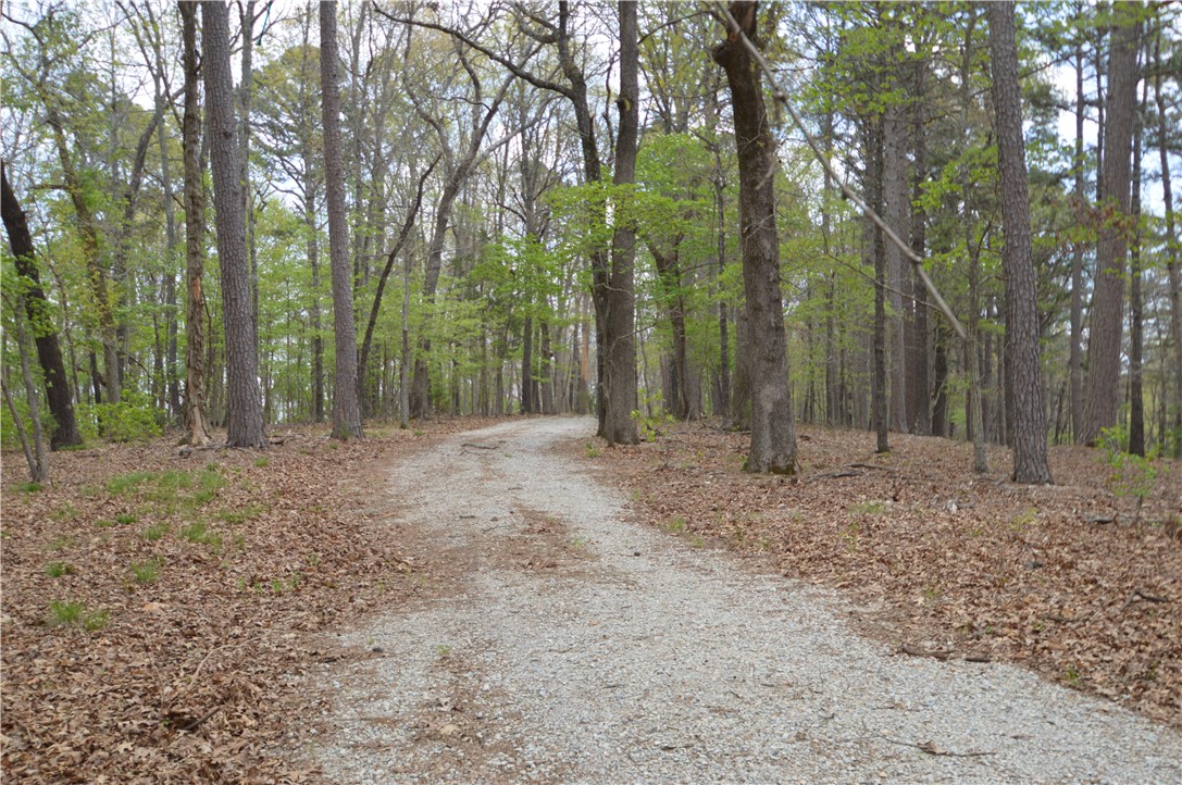 main property photo 0