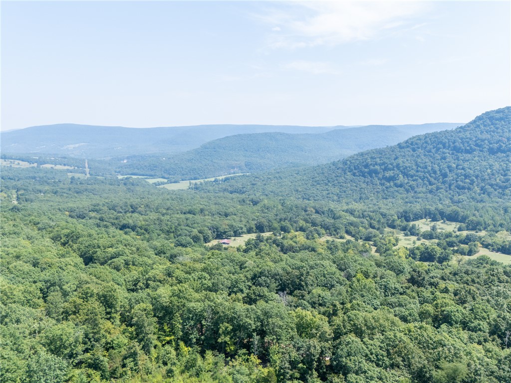 main property photo 55
