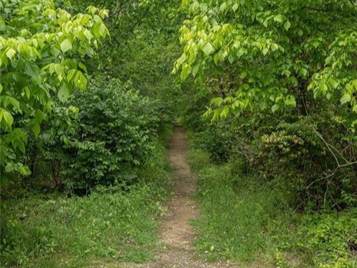 main property photo 57