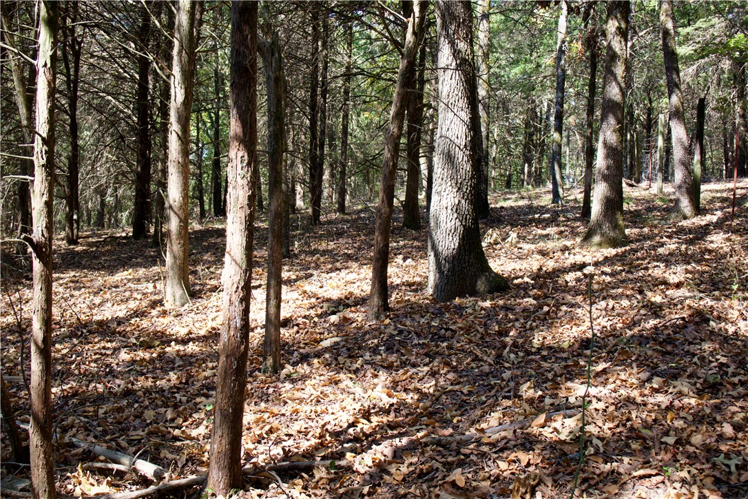 main property photo 35