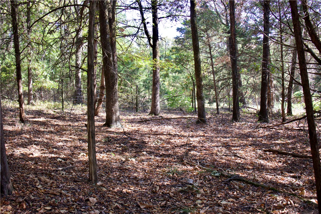 main property photo 37