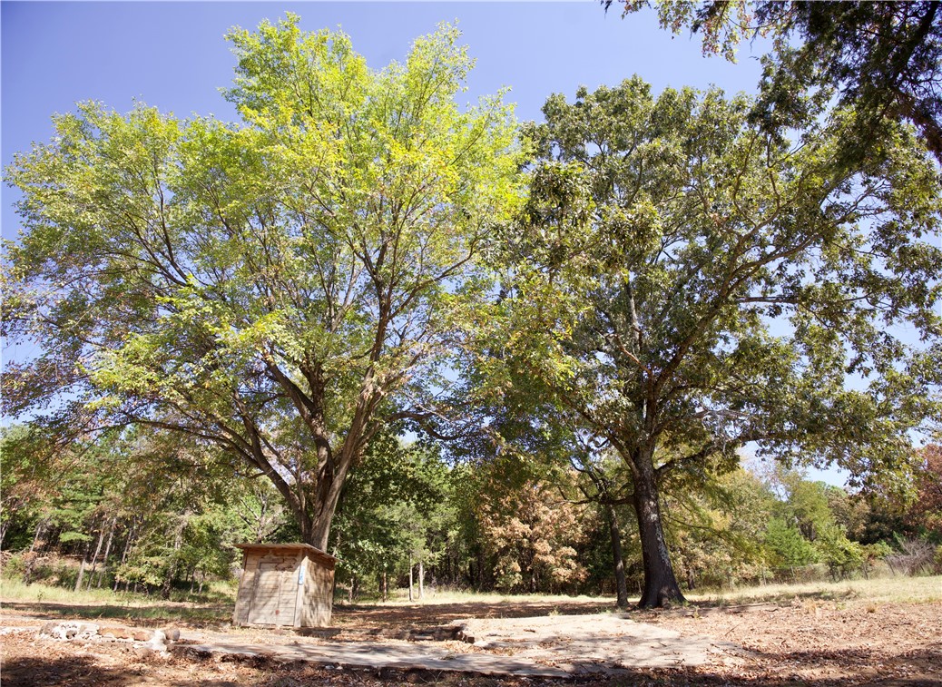 main property photo 39
