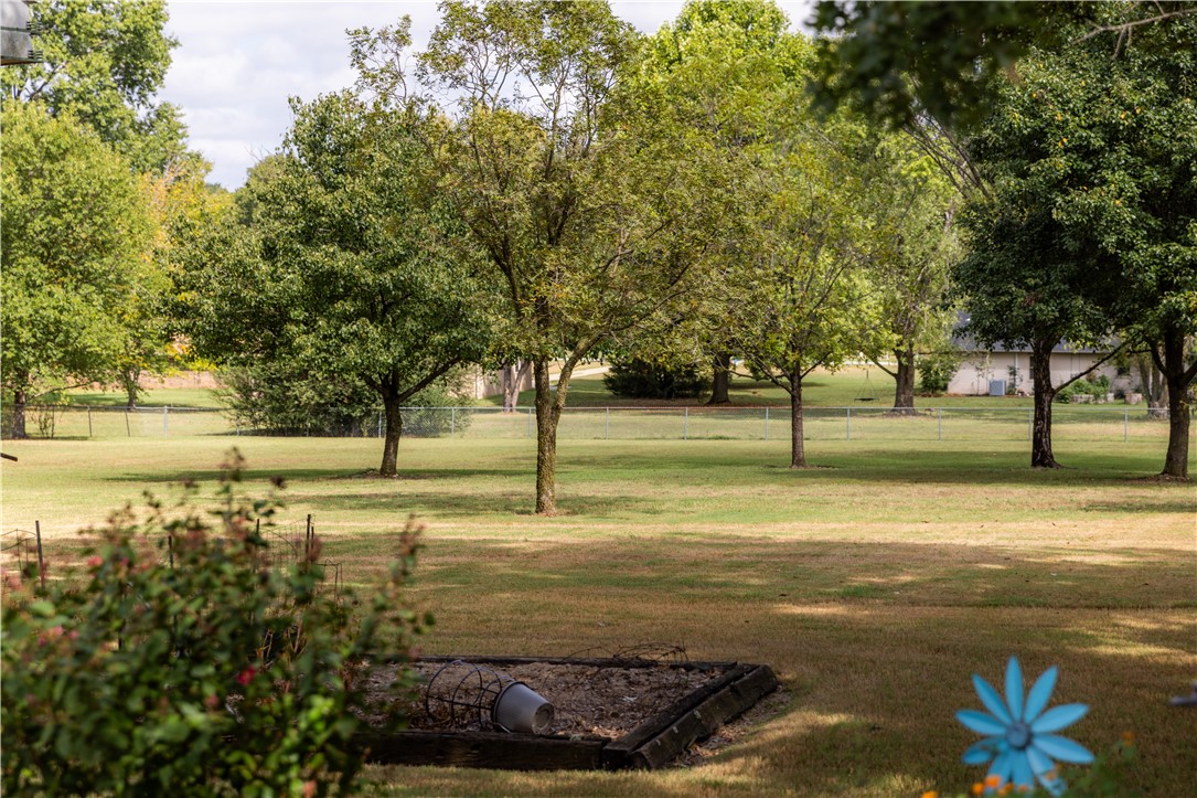 main property photo 54