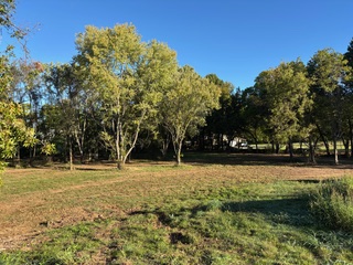 main property photo 18