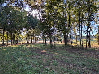 main property photo 24