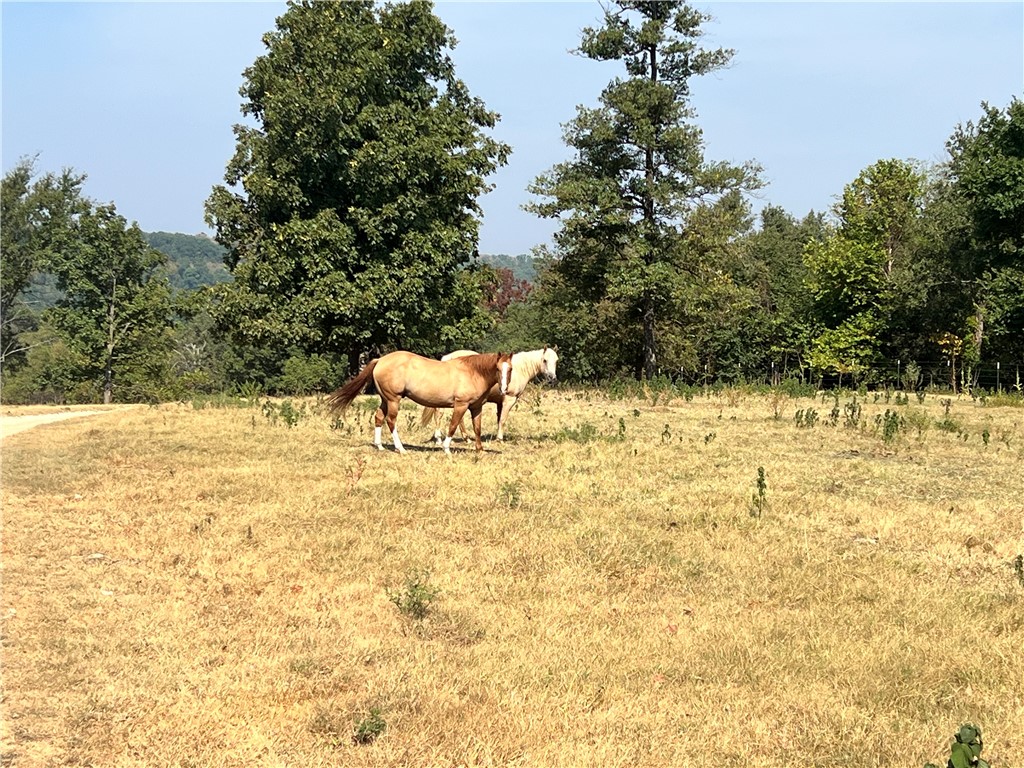 main property photo 35