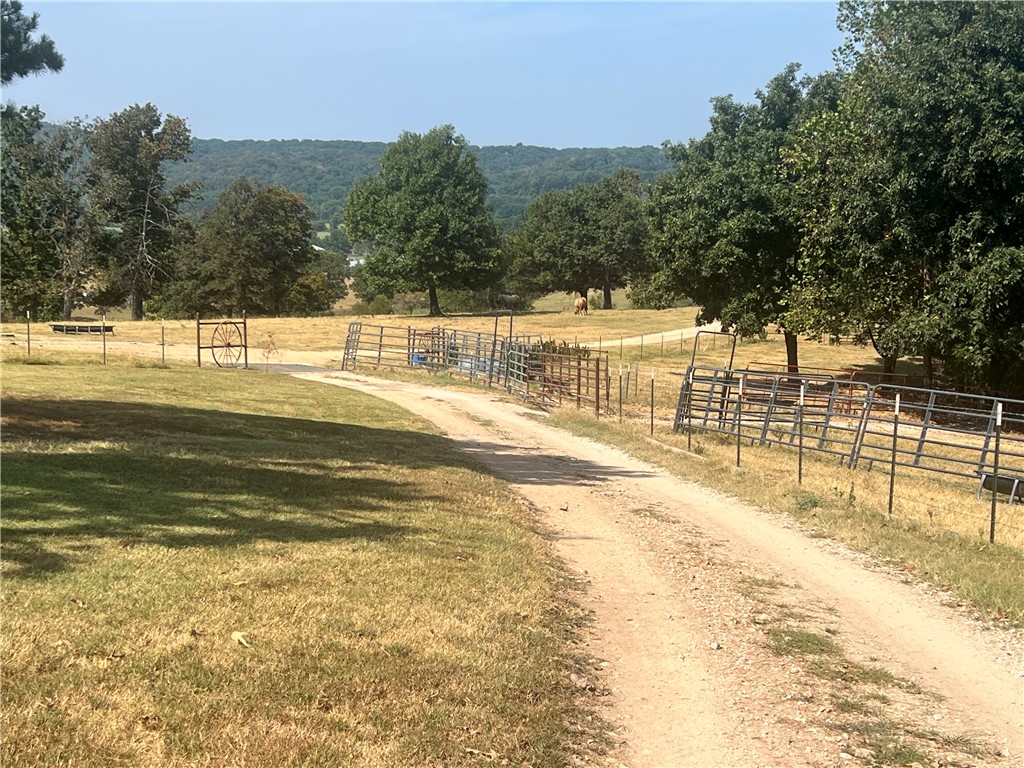 main property photo 39