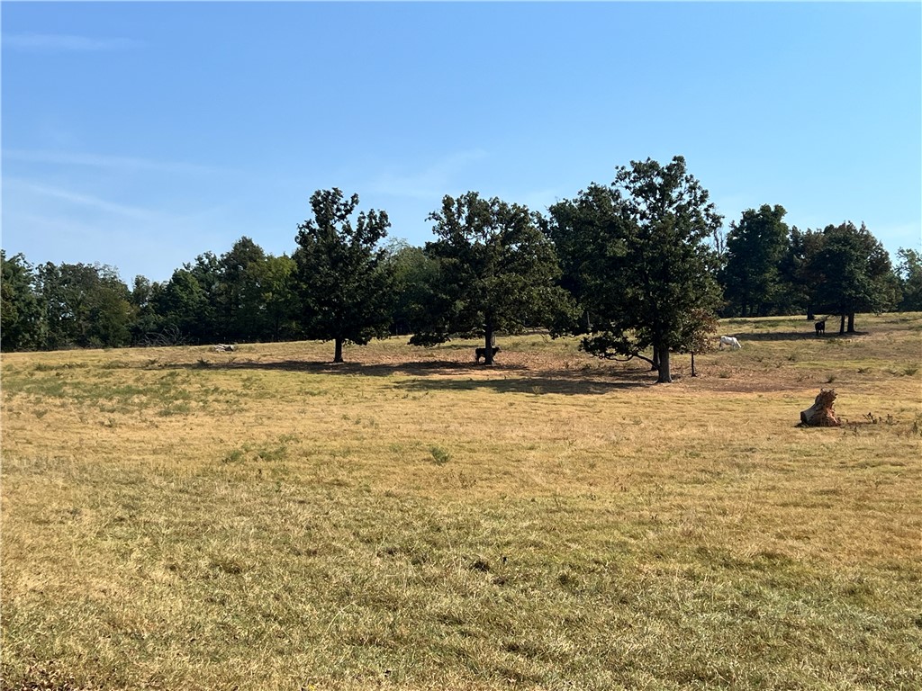 main property photo 41