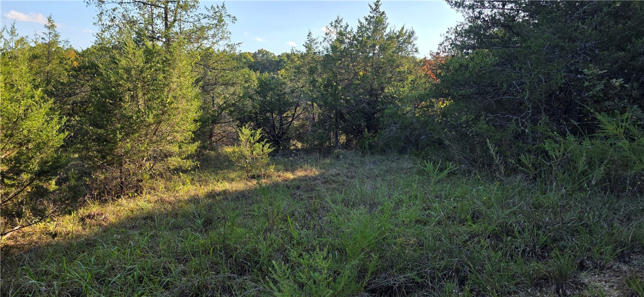 main property photo 9