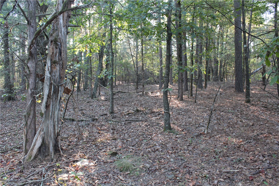 main property photo 25