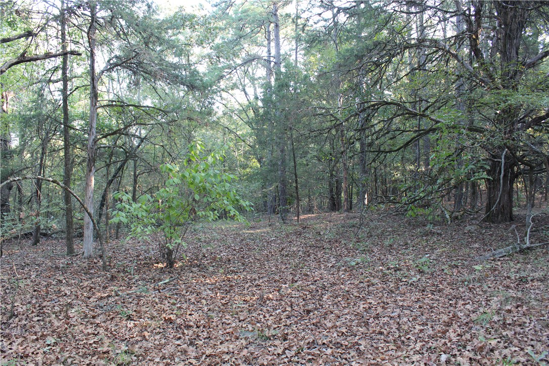 main property photo 29