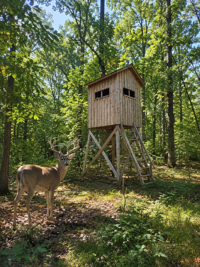main property photo 41