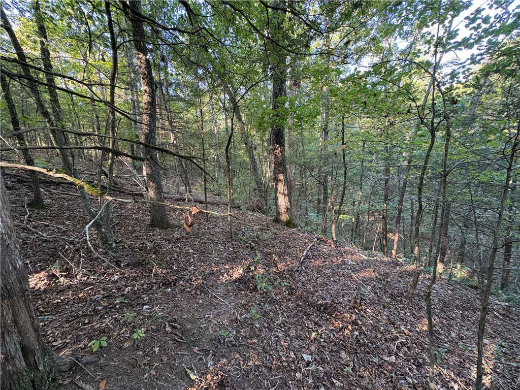 main property photo 10
