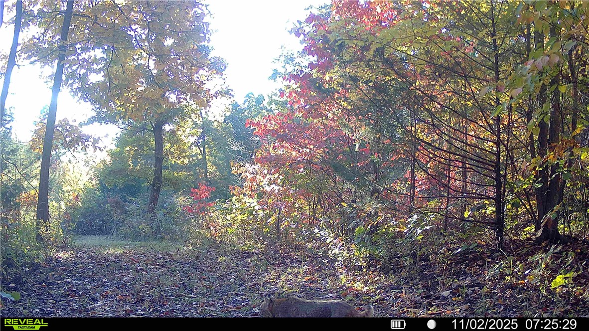 main property photo 29