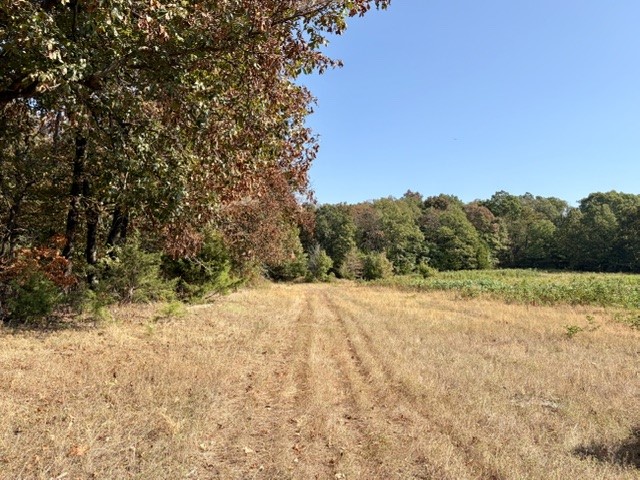 main property photo 21