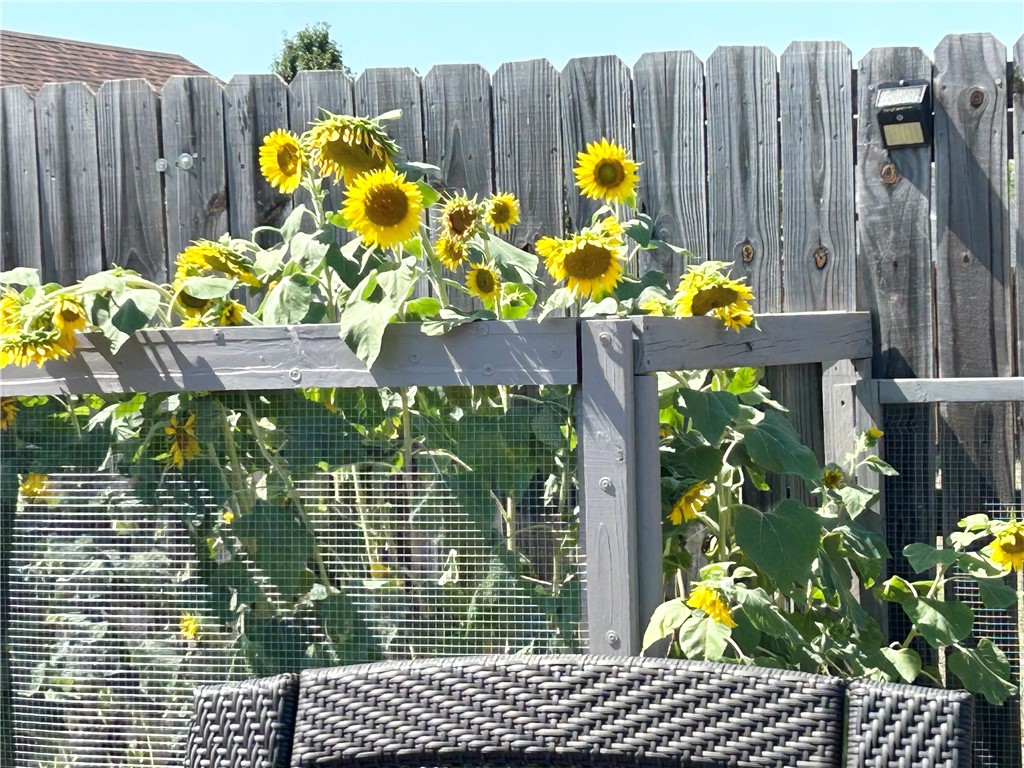 main property photo 58