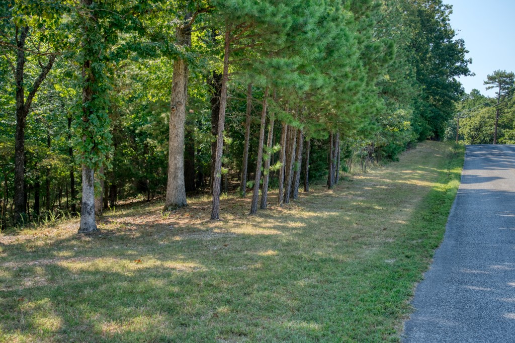 main property photo 25