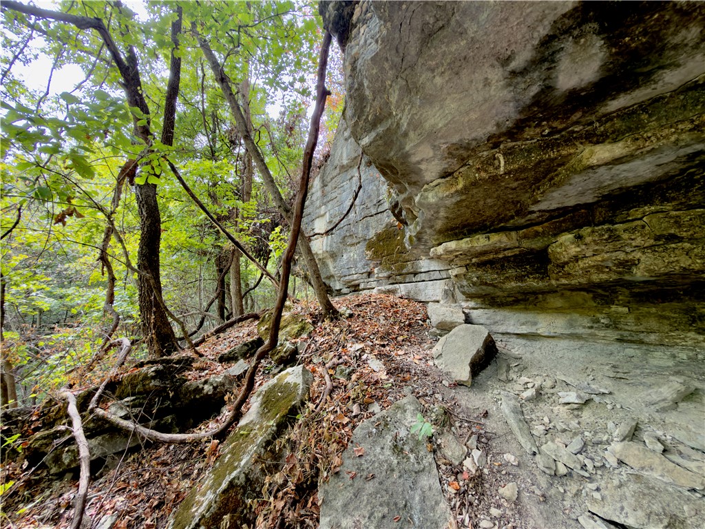 main property photo 53