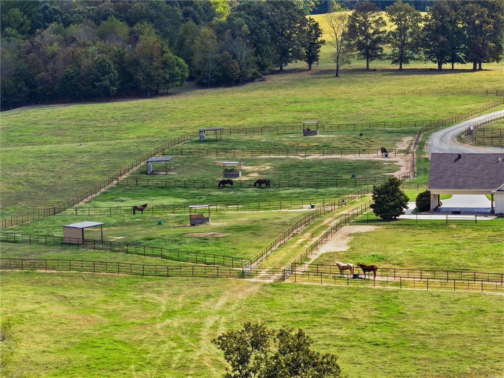main property photo 48