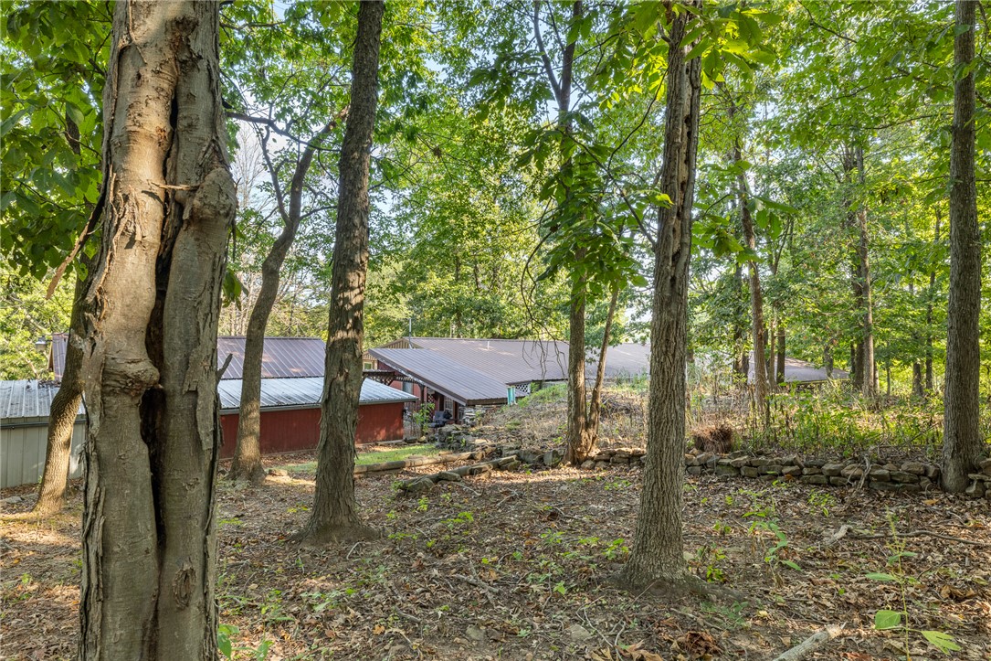 main property photo 58