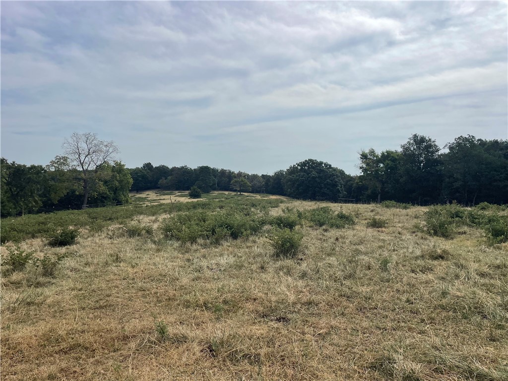 main property photo 18