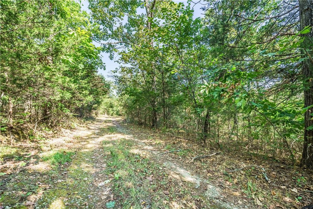 main property photo 40
