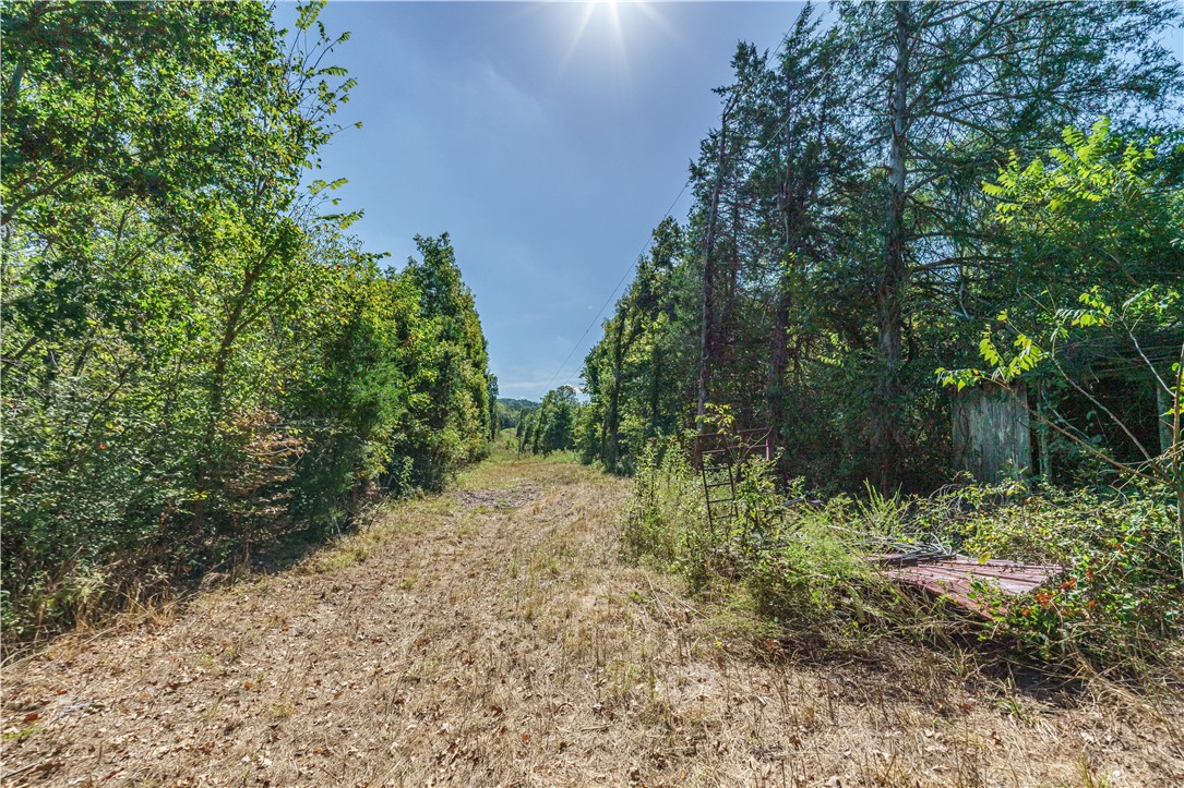 main property photo 44