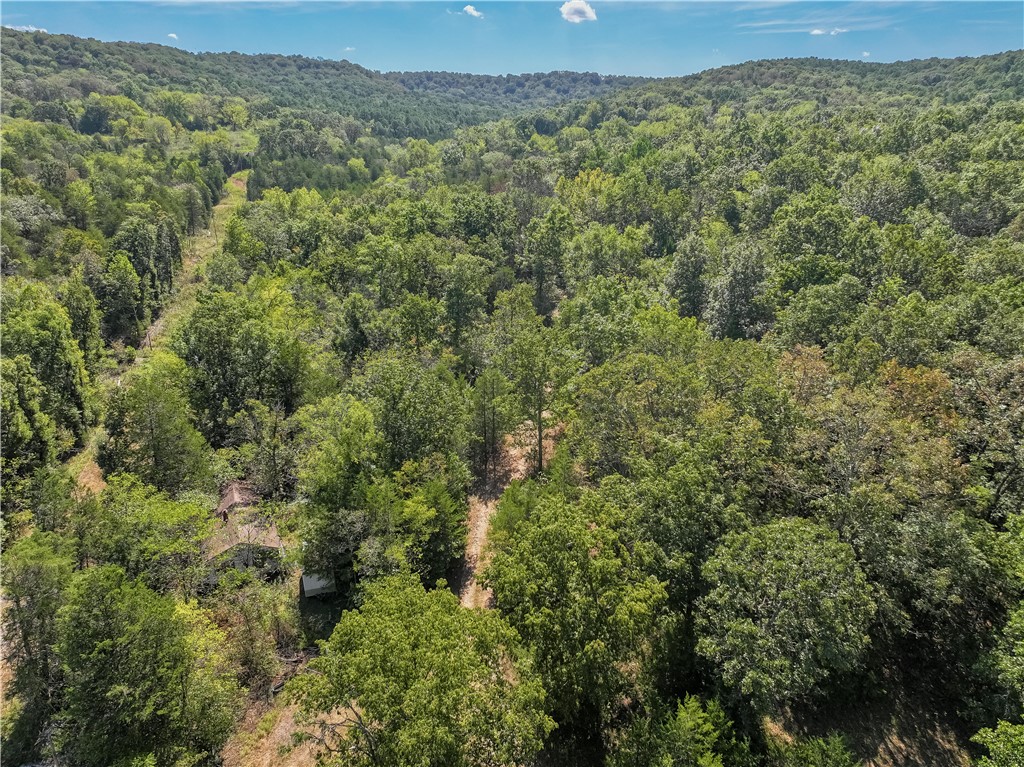 main property photo 49