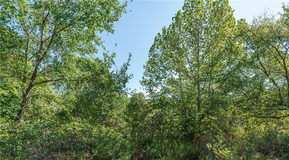main property photo 50