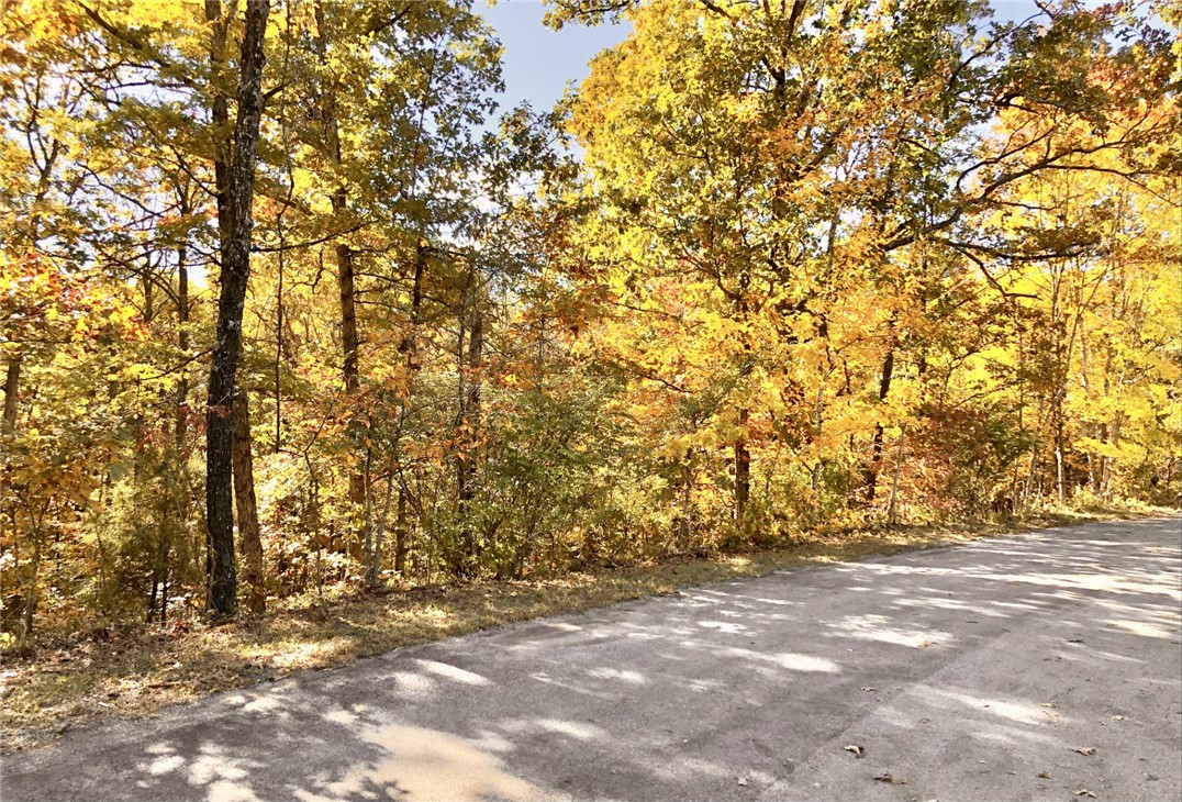 main property photo 11