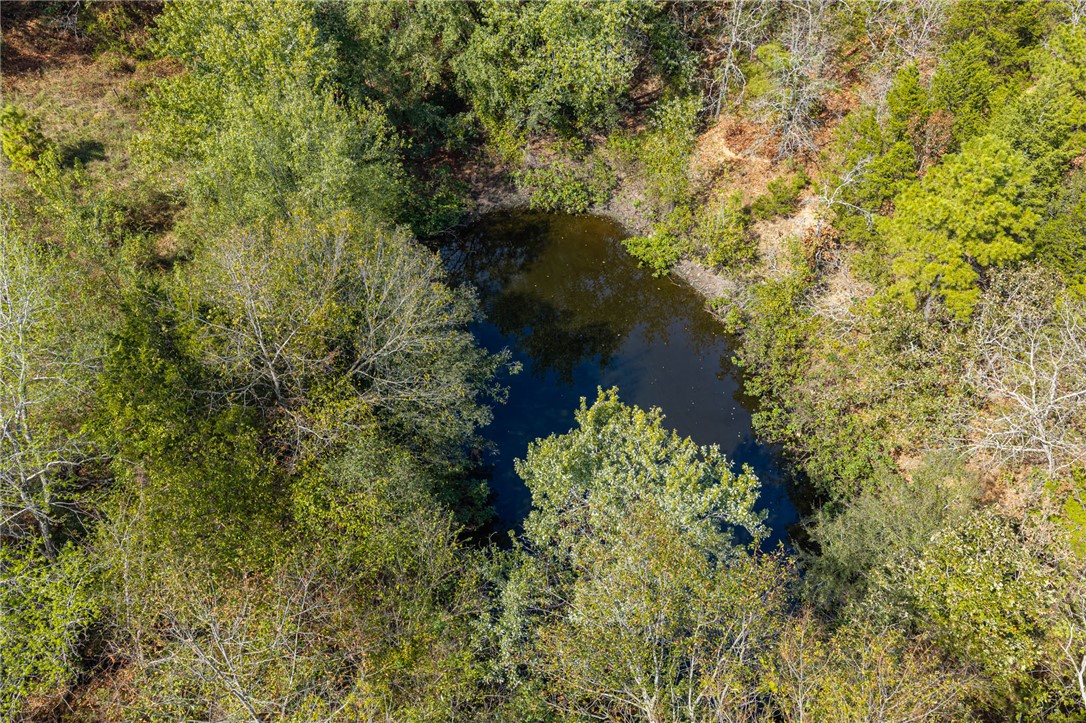 main property photo 57