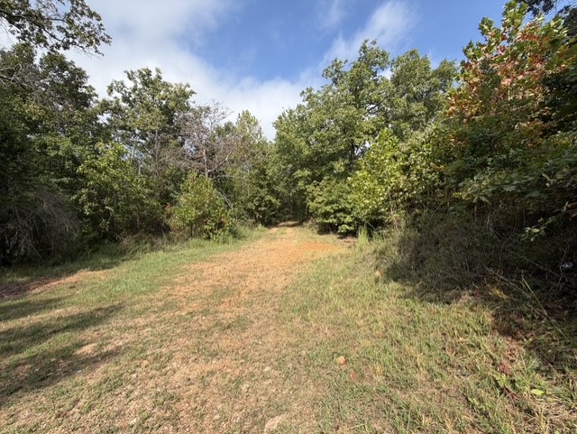 main property photo 22