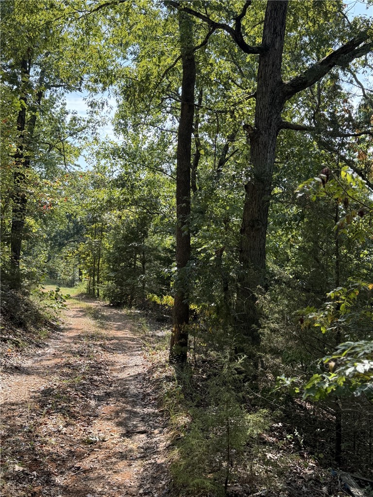 main property photo 28