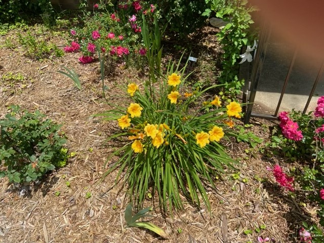 main property photo 10