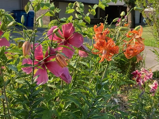 main property photo 9