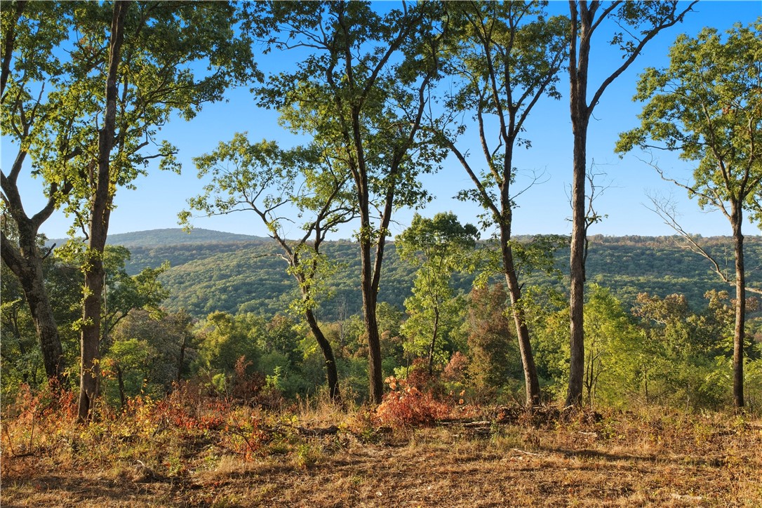 main property photo 22