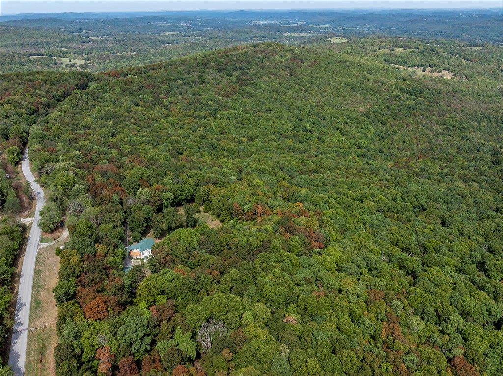 main property photo 47