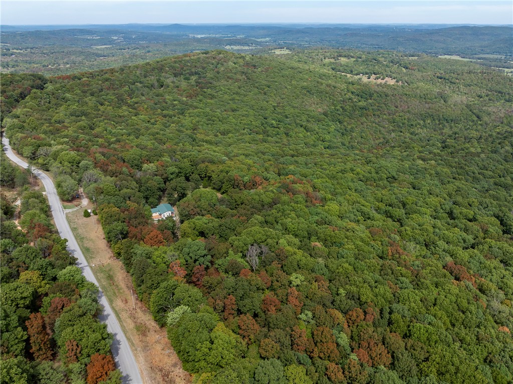 main property photo 48
