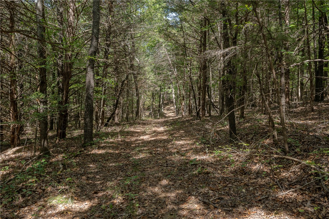 main property photo 52