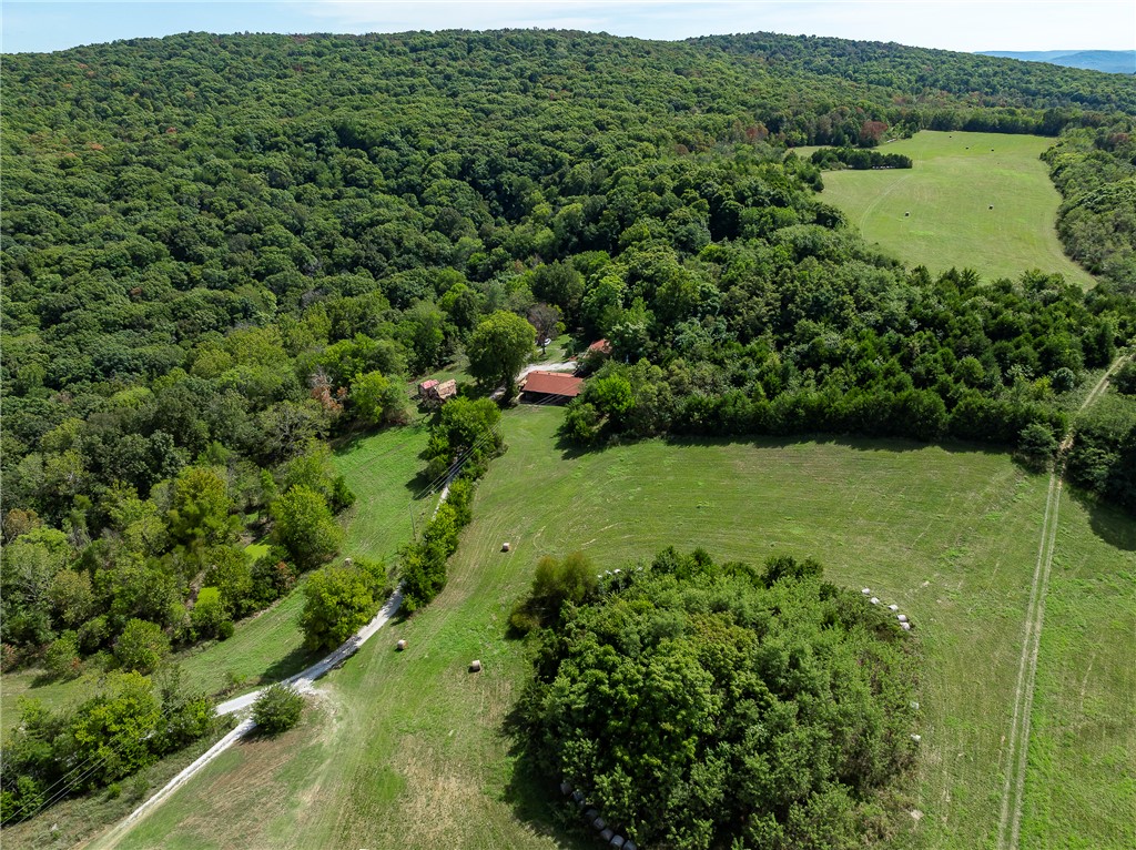 main property photo 55