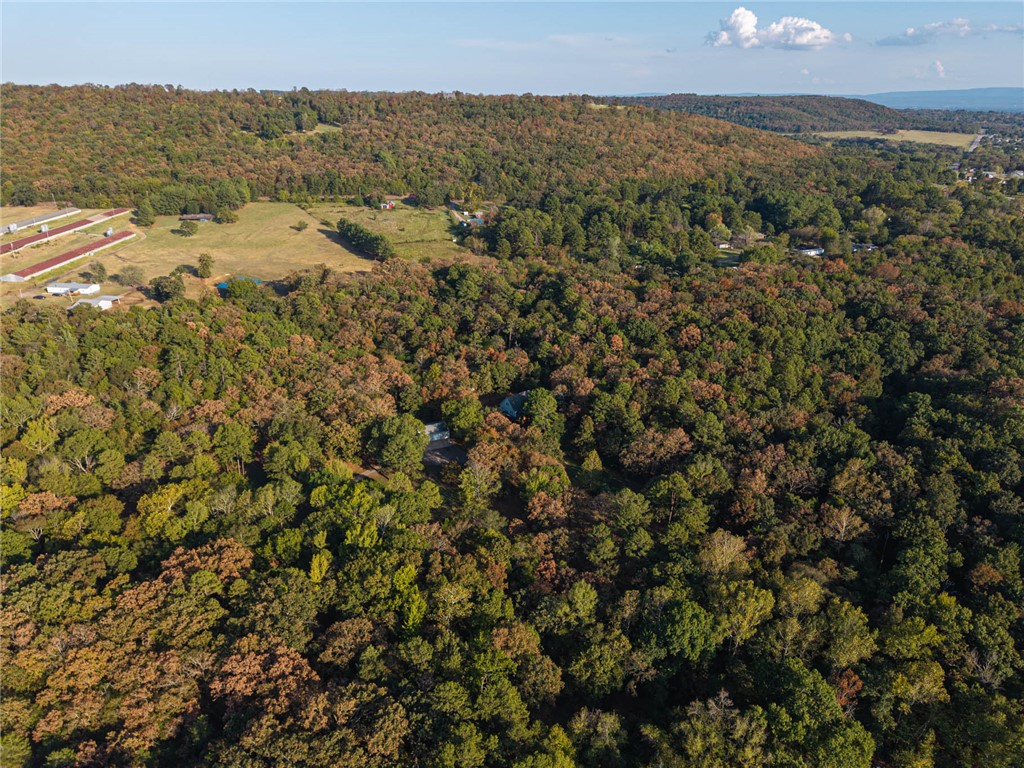 main property photo 17