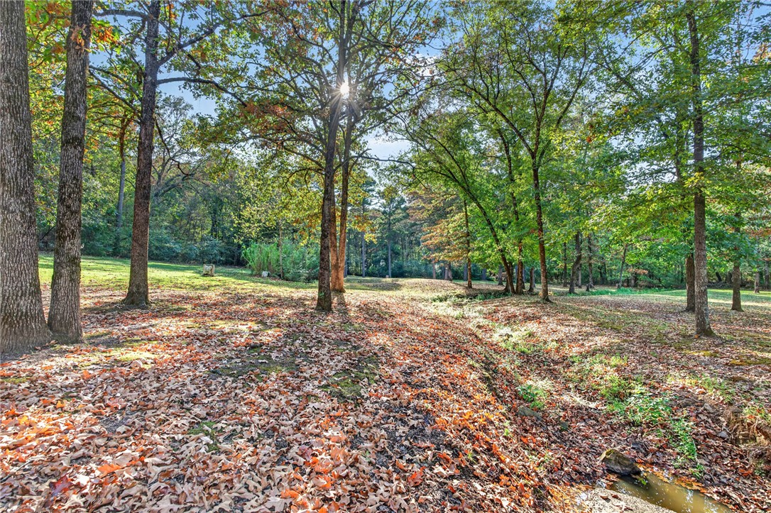 main property photo 55