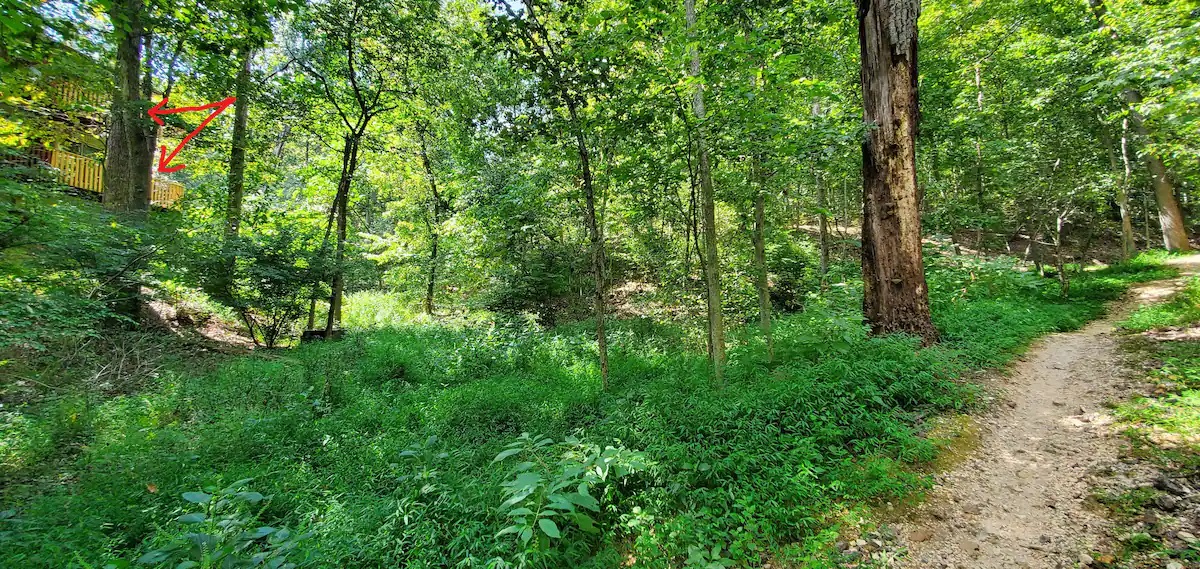 main property photo 13