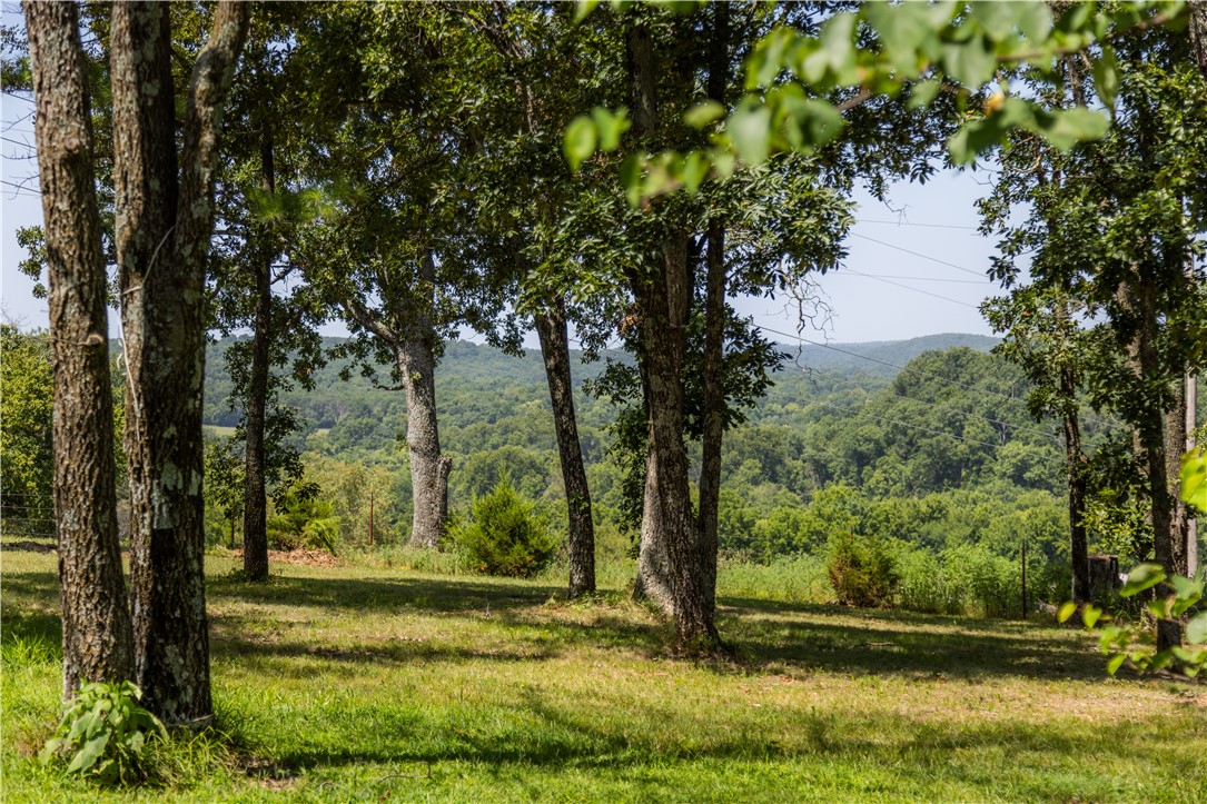 main property photo 48