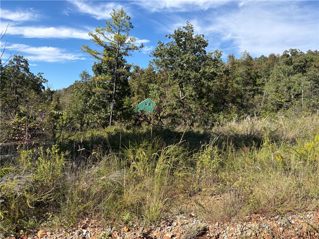 main property photo 10