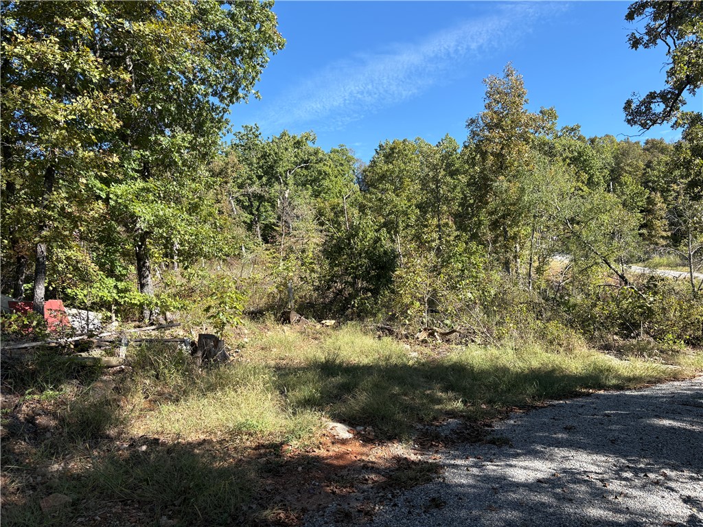 main property photo 13