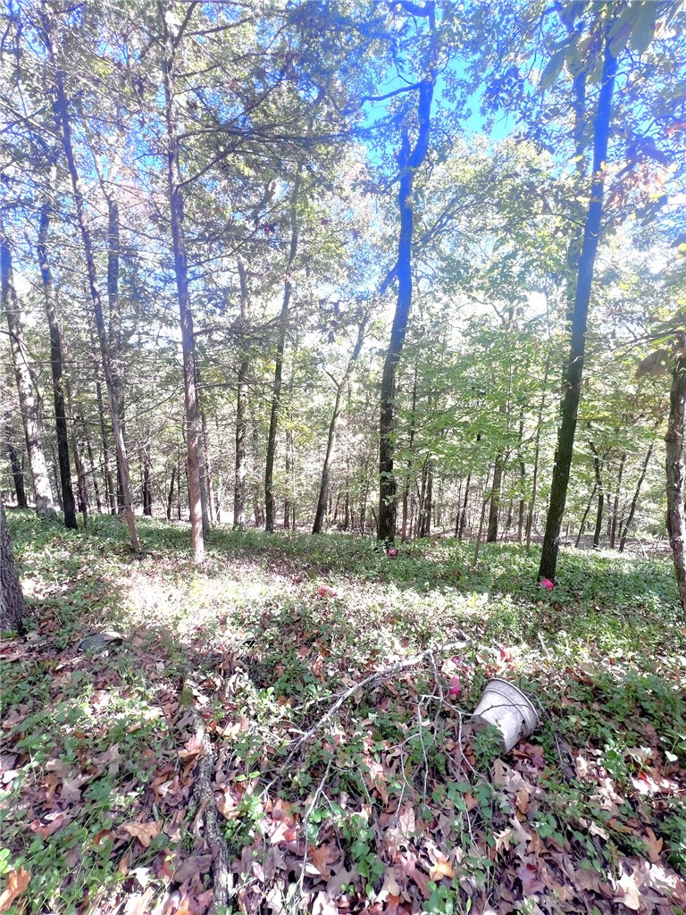 main property photo 18